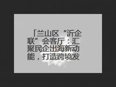 兰山区“沂企联”会客厅：汇聚民企出海新动能，打造跨境发展“强磁场”