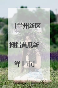 兰州新区拇指黄瓜新鲜上市