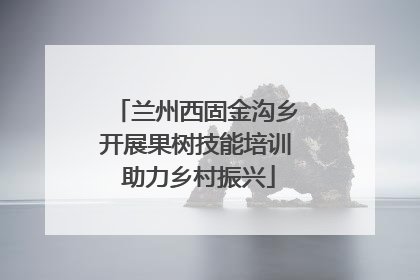 兰州西固金沟乡开展果树技能培训 助力乡村振兴