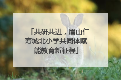 共研共进，眉山仁寿城北小学共同体赋能教育新征程