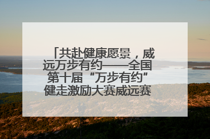 共赴健康愿景，威远万步有约——全国第十届“万步有约”健走激励大赛威远赛区启动仪式