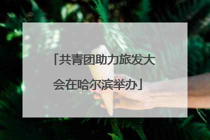 共青团助力旅发大会在哈尔滨举办
