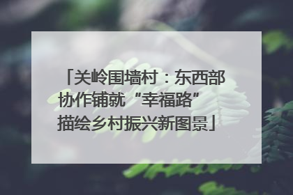 关岭围墙村：东西部协作铺就“幸福路” 描绘乡村振兴新图景