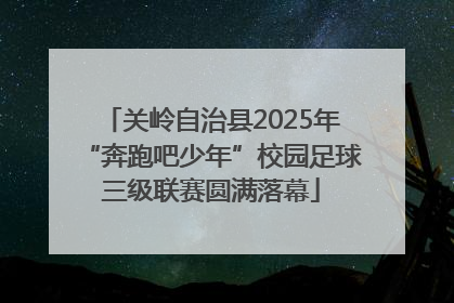 关岭自治县2025年“奔跑吧少年”校园足球三级联赛圆满落幕