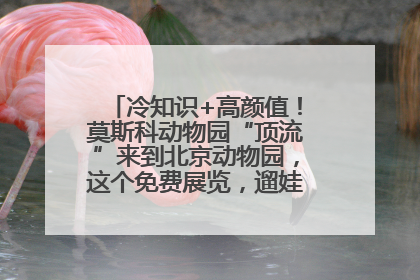 冷知识+高颜值！莫斯科动物园“顶流”来到北京动物园，这个免费展览，遛娃拍照两不误！