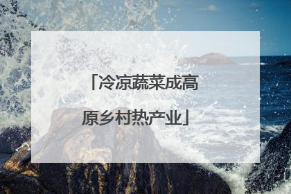 冷凉蔬菜成高原乡村热产业