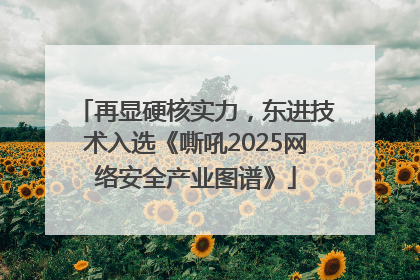 再显硬核实力，东进技术入选《嘶吼2025网络安全产业图谱》