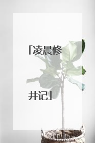 凌晨修井记