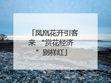 凤凰花开引客来 “赏花经济”别样红