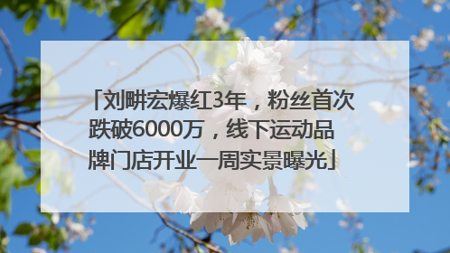 刘畊宏爆红3年，粉丝首次跌破6000万，线下运动品牌门店开业一周实景曝光