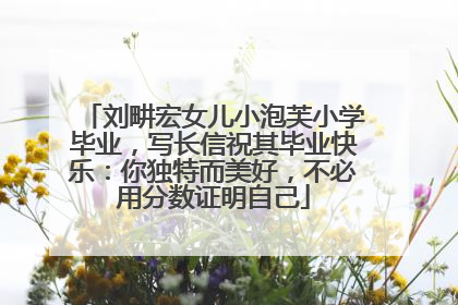 刘畊宏女儿小泡芙小学毕业，写长信祝其毕业快乐：你独特而美好，不必用分数证明自己