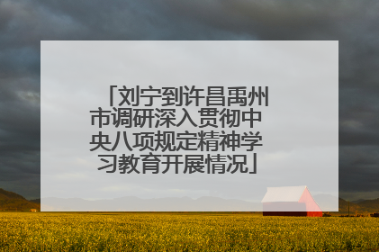 刘宁到许昌禹州市调研深入贯彻中央八项规定精神学习教育开展情况