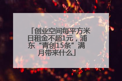 创业空间每平方米日租金不超1元，浦东“青创15条”满月带来什么