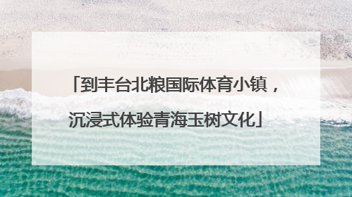 到丰台北粮国际体育小镇，沉浸式体验青海玉树文化
