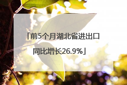 前5个月湖北省进出口同比增长26.9%