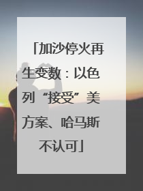 加沙停火再生变数：以色列“接受”美方案、哈马斯不认可