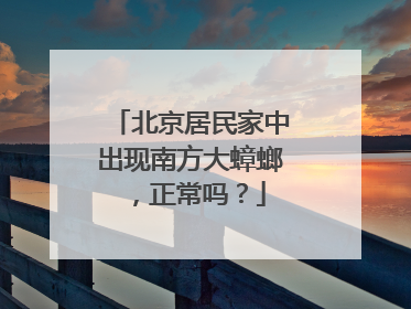北京居民家中出现南方大蟑螂，正常吗？