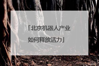 北京机器人产业如何释放活力