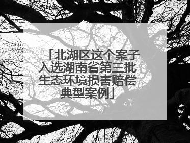 北湖区这个案子入选湖南省第三批生态环境损害赔偿典型案例