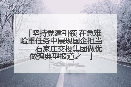 坚持党建引领 在急难险重任务中展现国企担当——石家庄交投集团做优做强典型报道之一