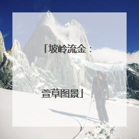 坡岭流金：萱草图景