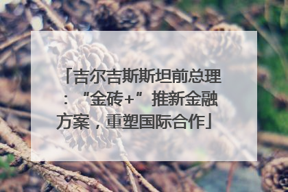吉尔吉斯斯坦前总理：“金砖+”推新金融方案，重塑国际合作