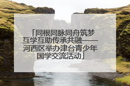 同根同脉同舟筑梦 互学互助传承共融——河西区举办津台青少年国学交流活动