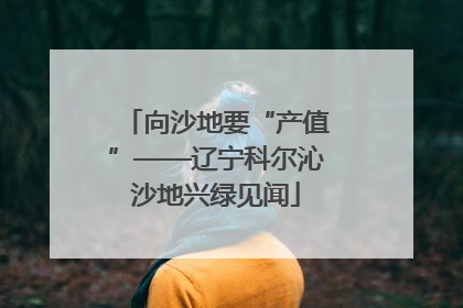 向沙地要“产值”——辽宁科尔沁沙地兴绿见闻
