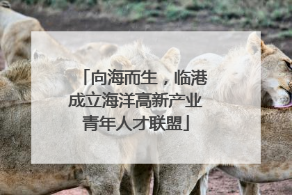 向海而生，临港成立海洋高新产业青年人才联盟