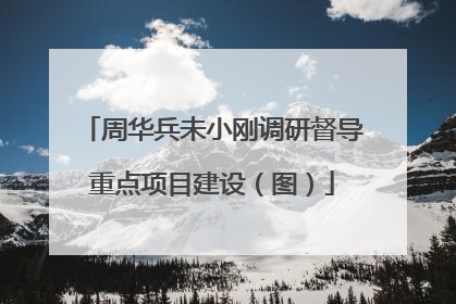 周华兵未小刚调研督导重点项目建设（图）