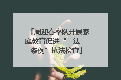周迎春率队开展家庭教育促进“一法一条例”执法检查