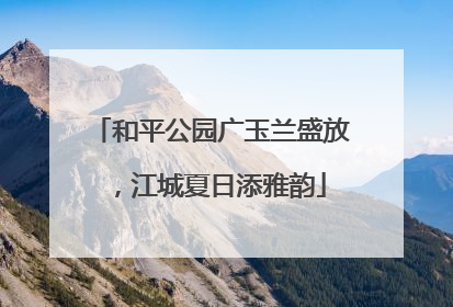 和平公园广玉兰盛放，江城夏日添雅韵
