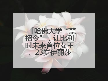 哈佛大学“禁招令”，让比利时未来首位女王、23岁伊丽莎白公主难毕业