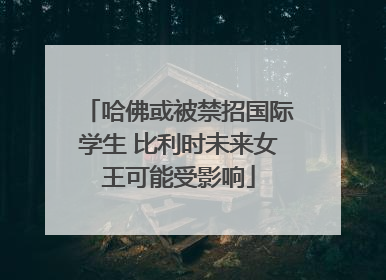 哈佛或被禁招国际学生 比利时未来女王可能受影响