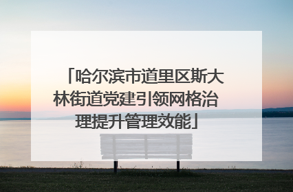 哈尔滨市道里区斯大林街道党建引领网格治理提升管理效能