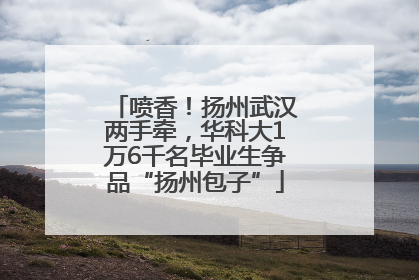 喷香！扬州武汉两手牵，华科大1万6千名毕业生争品“扬州包子”