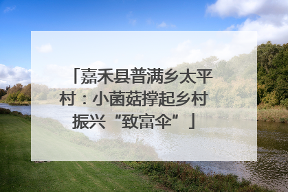 嘉禾县普满乡太平村：小菌菇撑起乡村振兴“致富伞”