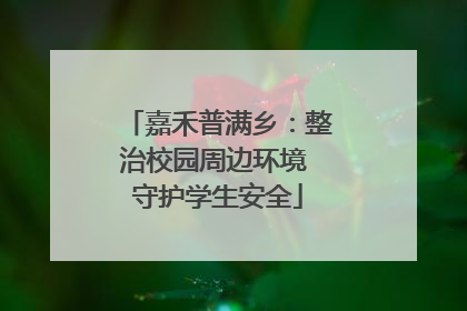 嘉禾普满乡：整治校园周边环境 守护学生安全