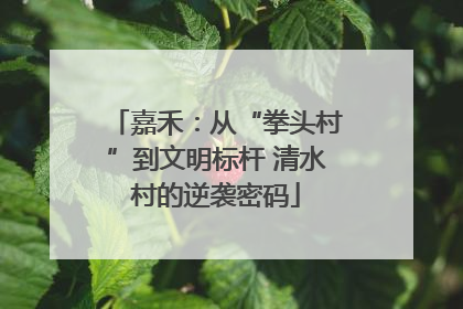 嘉禾：从“拳头村”到文明标杆 清水村的逆袭密码