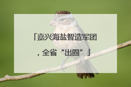 嘉兴海盐智造军团，全省“出圈”