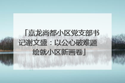 嘉龙尚都小区党支部书记谢文盛：以公心破难题 绘就小区新画卷
