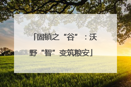 固镇之“谷”：沃野“智”变筑粮安