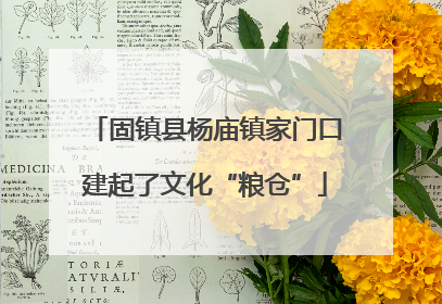 固镇县杨庙镇家门口建起了文化“粮仓”