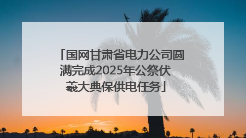 国网甘肃省电力公司圆满完成2025年公祭伏羲大典保供电任务