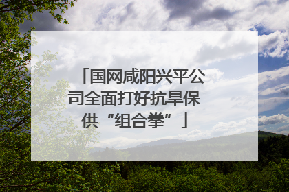 国网咸阳兴平公司全面打好抗旱保供“组合拳”