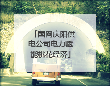 国网庆阳供电公司电力赋能桃花经济