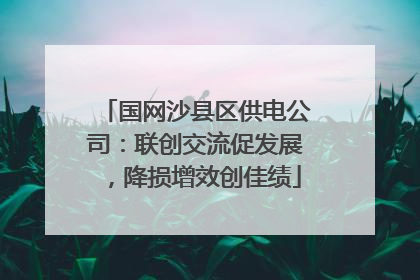 国网沙县区供电公司：联创交流促发展，降损增效创佳绩