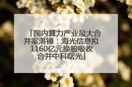 国内算力产业最大合并案落锤：海光信息拟1160亿元换股吸收合并中科曙光