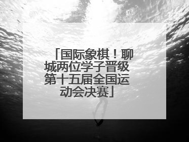 国际象棋！聊城两位学子晋级第十五届全国运动会决赛