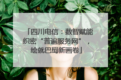 四川电信：数智赋能织密“普遍服务网”，绘就巴蜀新画卷